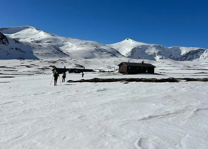 Lägenhet Amazing In With Wifi