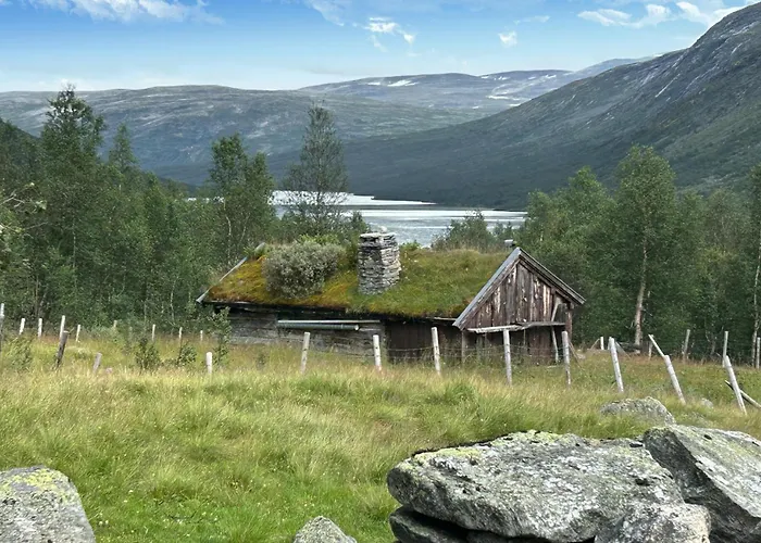 Amazing In With Wifi